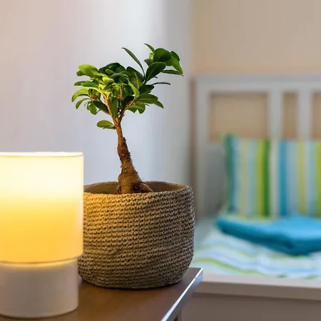 Cozy Holiday In Germany With Garden Tännesberg